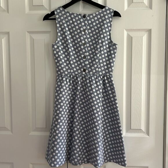 The Limited Polka Dot Sleeveless A-Line Dress - Picture 10 of 14